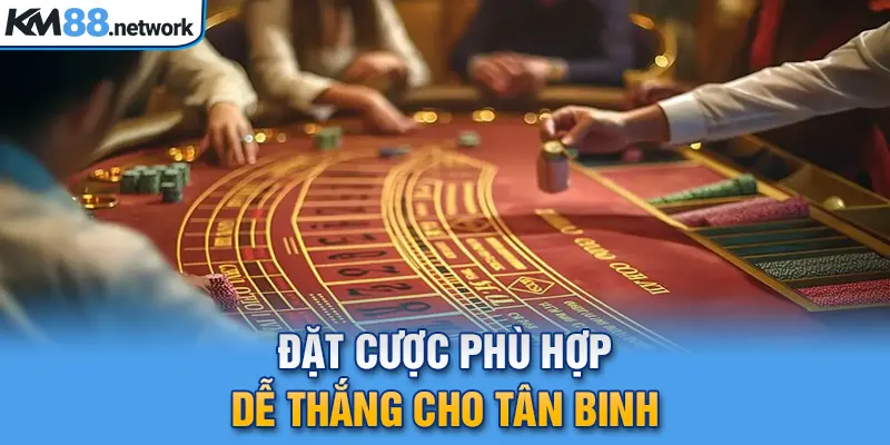 Đặt cược phù hợp dễ thắng cho tân binh